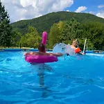 Affittacamere в горах у аліни Solochyn