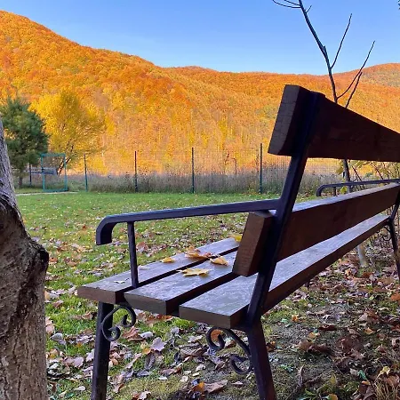 в горах у аліни Guest house Solochin