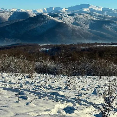 Casa de hóspedes в горах у аліни 3*