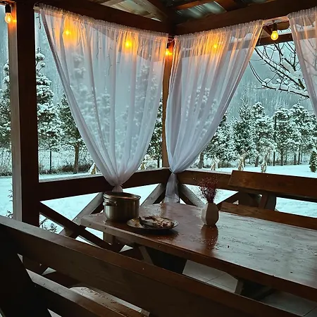 Casa de hóspedes в горах у аліни Solochin