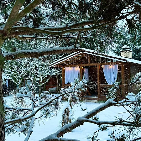 в горах у аліни