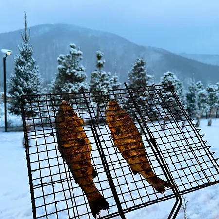 в горах у аліни Guest house