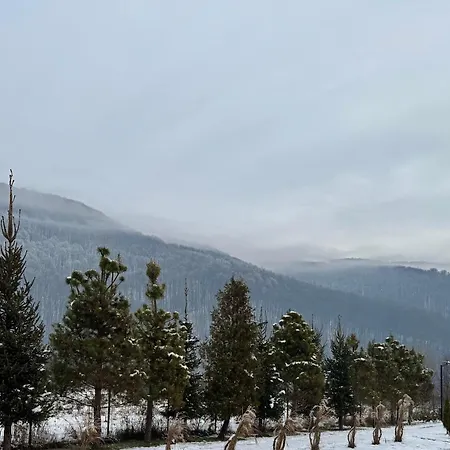 в горах у аліни Guest house Solochin