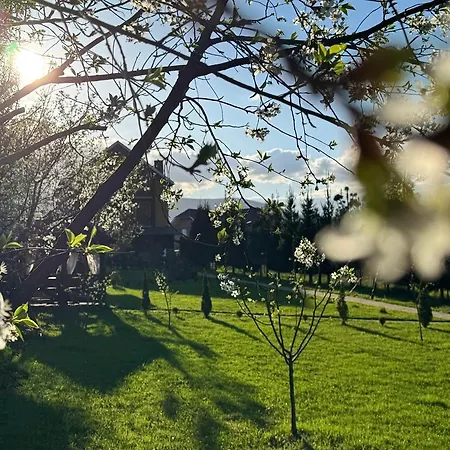 в горах у аліни