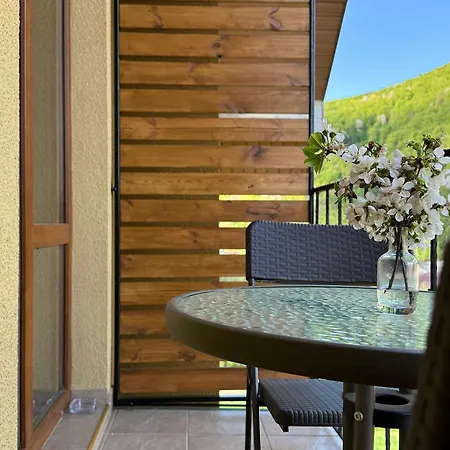 в горах у аліни Guest house