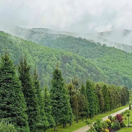 в горах у аліни *