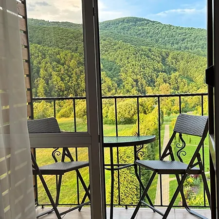 в горах у аліни Pensión