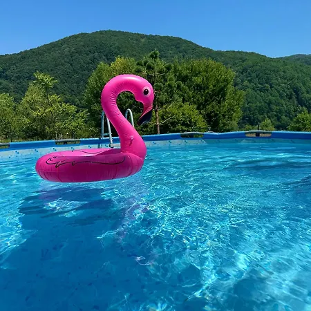 Guest house в горах у аліни 3*