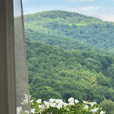 Pensión в горах у аліни