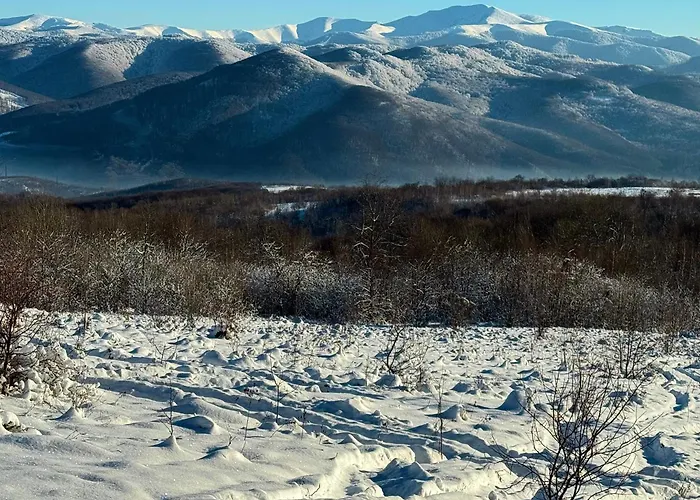 게스트하우스 в горах у аліни 3*