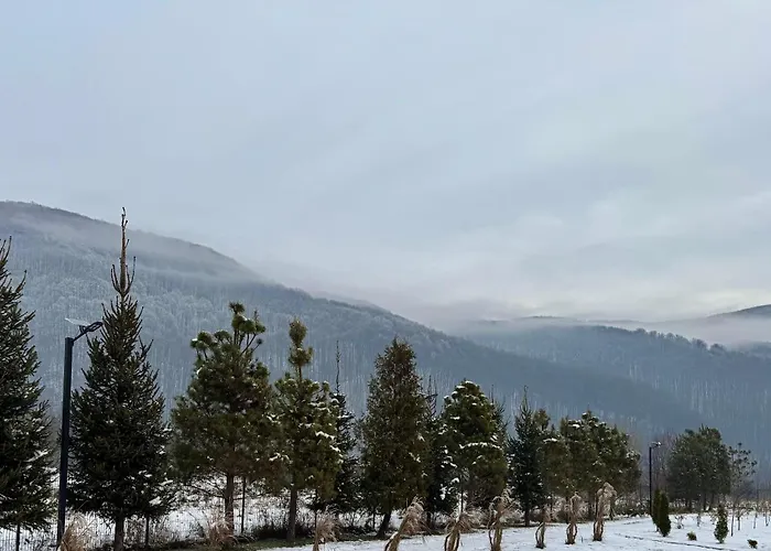 в горах у аліни 게스트하우스 솔로친