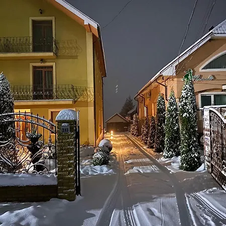 в горах у аліни Guest house *
