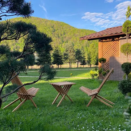 в горах у аліни Guest house *