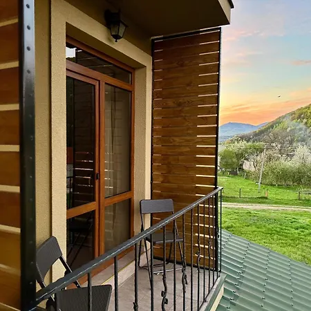 в горах у аліни Guest house